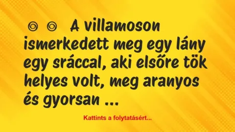 Vicces történet: 
	    	    


A villamoson ismerkedett meg egy lány …
