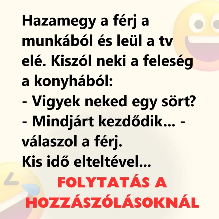 Hazamegy a férj a munkából és leül a tv elé A munkából hazatérő férfi és a TV-képernyő története