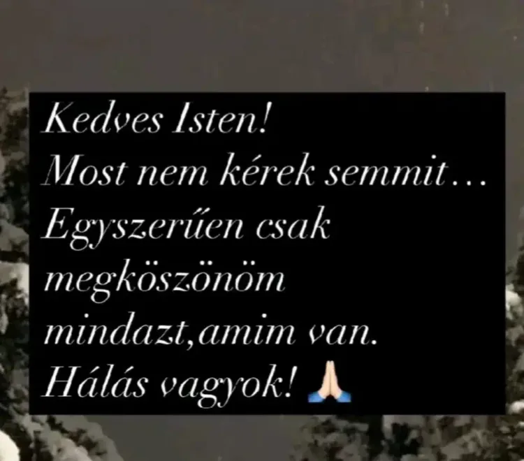 Most Karácsonykor hálás leszek! Most Karácsonykor hálás leszek!
