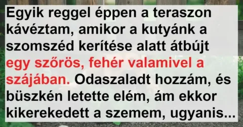 Vicc: A kutya átlogott a szomszédba, de nem üres szájjal tért vissza
