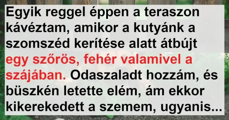 Vicc: A kutya átlogott a szomszédba, de nem üres szájjal tért vissza
