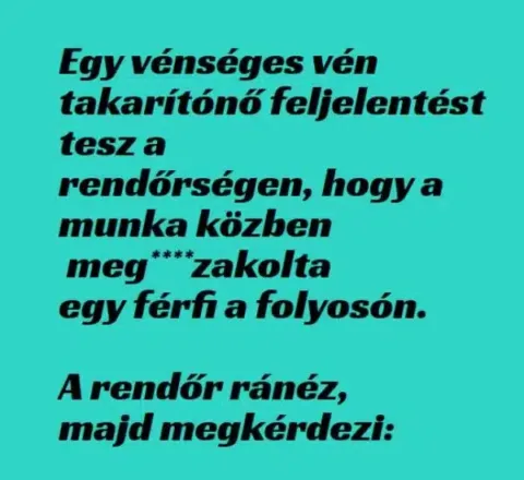 Vicc: A vénséges vén takarítónő esete a szat*rral