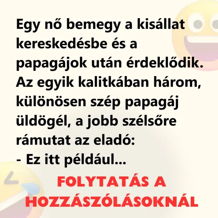 Vicc: Egy nő bemegy a kisállatkereskedésbe Vicc: Egy nő bemegy a kisállatkereskedésbe