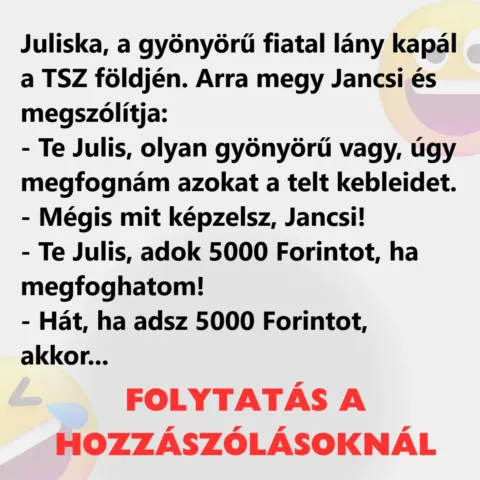 Vicc: Juliska, a gyönyörű fiatal lány kapál a TSZ földjén