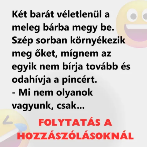 Vicc: Két barát véletlenül a meleg bárba megy be Vicc: Két barát véletlenül a meleg bárba megy be