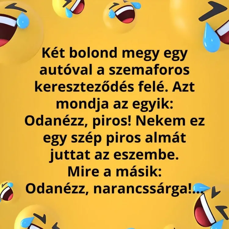 Vicc: Két bolond éppen áthalad a szemaforos kereszteződésen