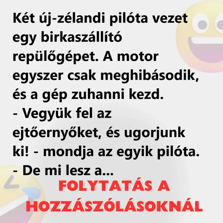 Vicc: Két új-zélandi pilóta vezet egy birkaszállító repülőgépet Vicc: Két új-zélandi pilóta vezet egy birkaszállító repülőgépet