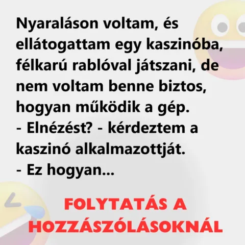 Vicc: Nyaraláson voltam Vicc: Nyaraláson voltam