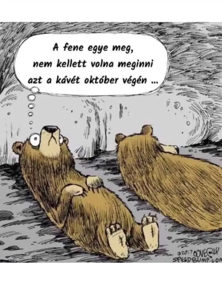 Vicces képek - 1731302592 Vicces képek – 1731302592