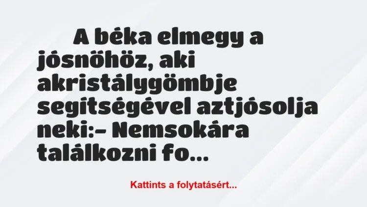 Vicc:
A béka elmegy a jósnőhöz, aki akristálygömbje… Vicc:
A béka elmegy a jósnőhöz, aki akristálygömbje…