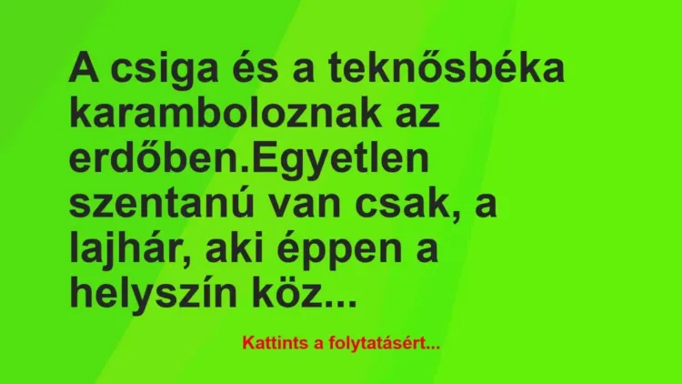 Vicc: A csiga és a teknősbéka karamboloznak az erdőben.
Egyetlen… Vicc: A csiga és a teknősbéka karamboloznak az erdőben.
Egyetlen…