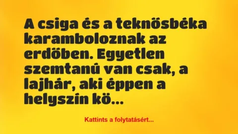 Vicc: A csiga és a teknősbéka karamboloznak az erdőben. Egyetlen szemtanú…