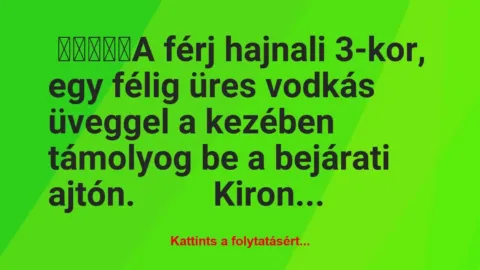 Vicc: A férj hajnali 3-kor, egy félig üres üveggel a kezében támolyog…