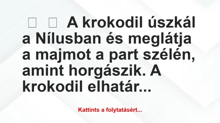 Vicc:
A krokodil úszkál a Nílusban és meglátja a majmot a part… Vicc:
A krokodil úszkál a Nílusban és meglátja a majmot a part…