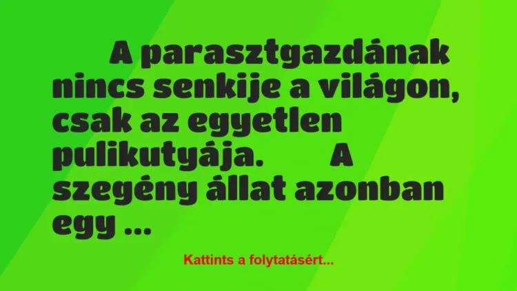 Vicc: A parasztgazdának nincs senkije a világon, csak az egyetlen… Vicc: A parasztgazdának nincs senkije a világon, csak az egyetlen…