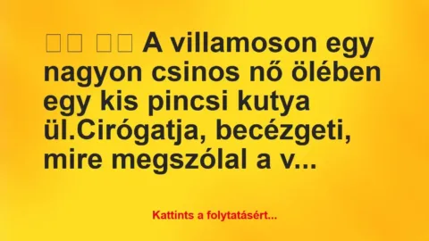 Vicc: 
		  
		  A villamoson egy nagyon csinos nő ölében egy kis …