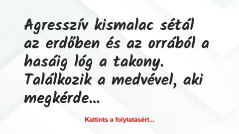Vicc: Agresszív kismalac sétál az erdőben és az orrából a hasáig lóg a…