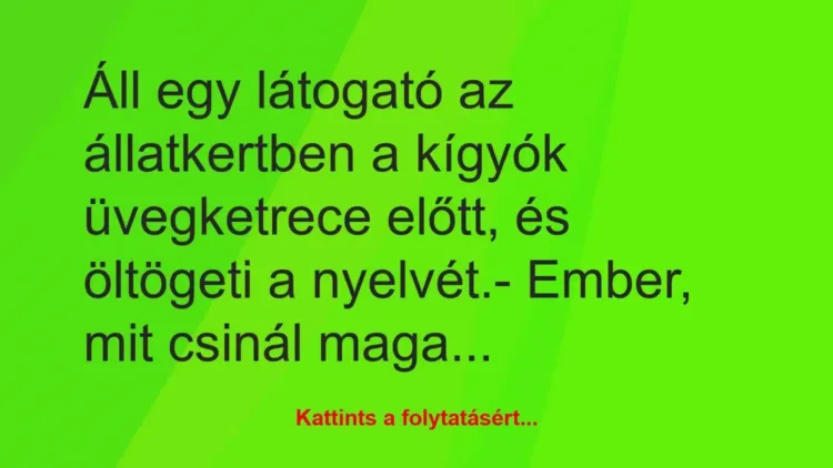 Vicc: Áll egy látogató az állatkertben a kígyók üvegketrece előtt, és… Vicc: Áll egy látogató az állatkertben a kígyók üvegketrece előtt, és…