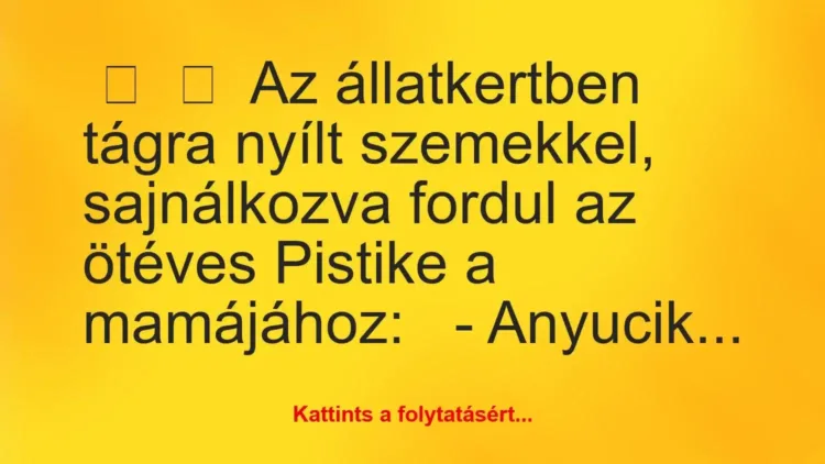 Vicc:
Az állatkertben tágra nyílt szemekkel, sajnálkozva fordul a… Vicc:
Az állatkertben tágra nyílt szemekkel, sajnálkozva fordul a…
