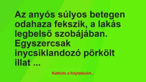Vicc: Az anyós súlyos betegen odahaza fekszik, a lakás legbelső szobájában….