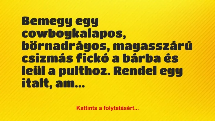 Vicc: Bemegy egy cowboykalapos, bőrnadrágos, magasszárú csizmás fickó a… Vicc: Bemegy egy cowboykalapos, bőrnadrágos, magasszárú csizmás fickó a…