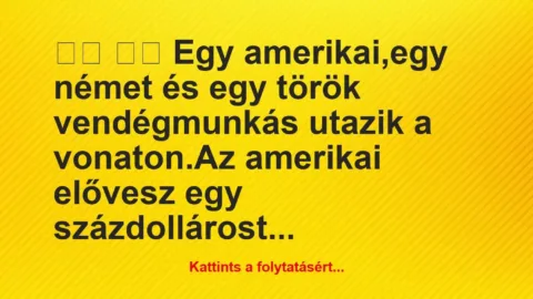 Vicc: 
		  
		  Egy amerikai,egy német és egy török vendégmunkás …