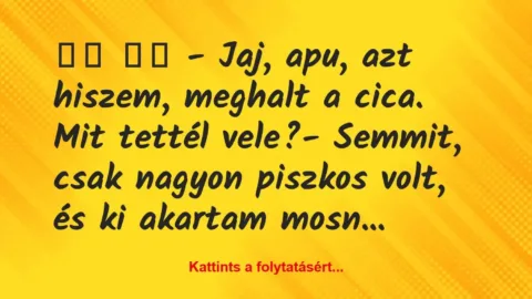 Vicc: 
		  
		  – Jaj, apu, azt hiszem, meghalt a cica. Mit…