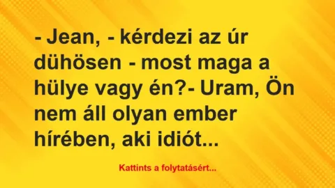 Vicc: – Jean, – kérdezi az úr dühösen – most maga a hülye vagy én?

-…