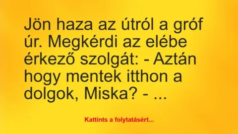 Vicc: Jön haza az útról a gróf úr. Megkérdi az elébe érkező szolgát: 

-…