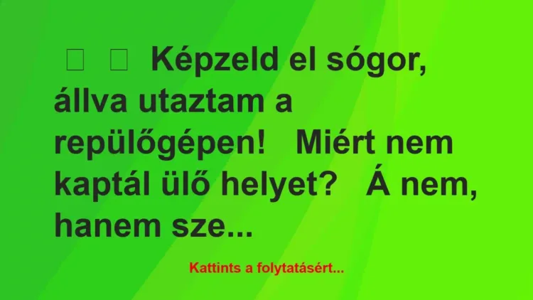 Vicc:
Képzeld el sógor, állva utaztam a repülőgépen!
Miért… Vicc:
Képzeld el sógor, állva utaztam a repülőgépen!
Miért…