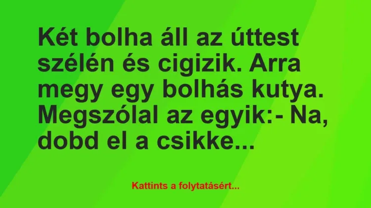 Vicc: Két bolha áll az úttest szélén és cigizik. Arra megy egy bolhás kutya…. Vicc: Két bolha áll az úttest szélén és cigizik. Arra megy egy bolhás kutya….