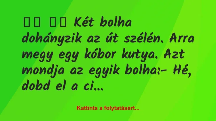 Vicc:
Két bolha dohányzik az út szélén. Arra megy egy… Vicc:
Két bolha dohányzik az út szélén. Arra megy egy…