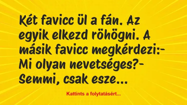 Vicc: Két favicc ül a fán. Az egyik elkezd röhögni. A másik favicc… Vicc: Két favicc ül a fán. Az egyik elkezd röhögni. A másik favicc…