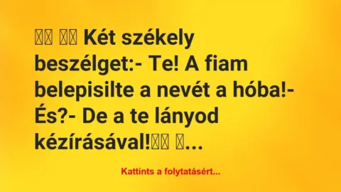 Vicc: 
		  
		  Két székely beszélget:- Te! A fiam…