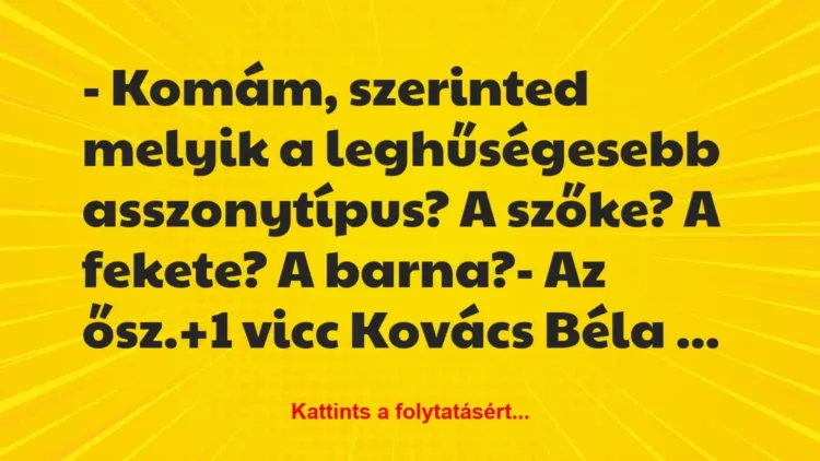Vicc: – Komám, szerinted melyik a leghűségesebb asszonytípus? A szőke? A… Vicc: – Komám, szerinted melyik a leghűségesebb asszonytípus? A szőke? A…