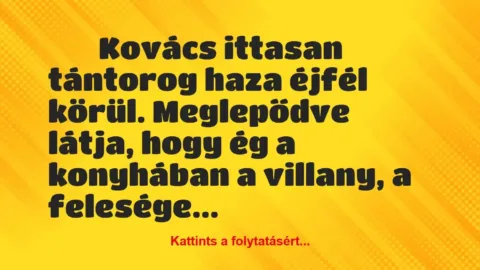 Vicc: 
		  
		  Kovács ittasan tántorog haza éjfél körül….