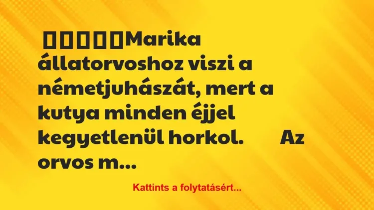 Vicc: Marika állatorvoshoz viszi a németjuhászát, mert a kutya minden… Vicc: Marika állatorvoshoz viszi a németjuhászát, mert a kutya minden…