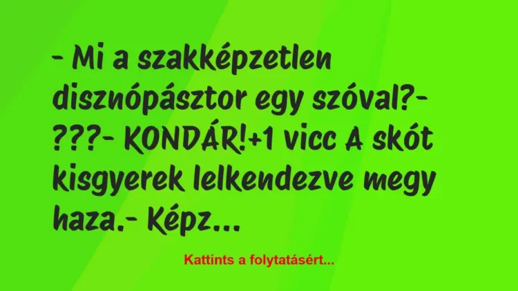 Vicc: – Mi a szakképzetlen disznópásztor egy szóval?
– ???
-… Vicc: – Mi a szakképzetlen disznópásztor egy szóval?
– ???
-…