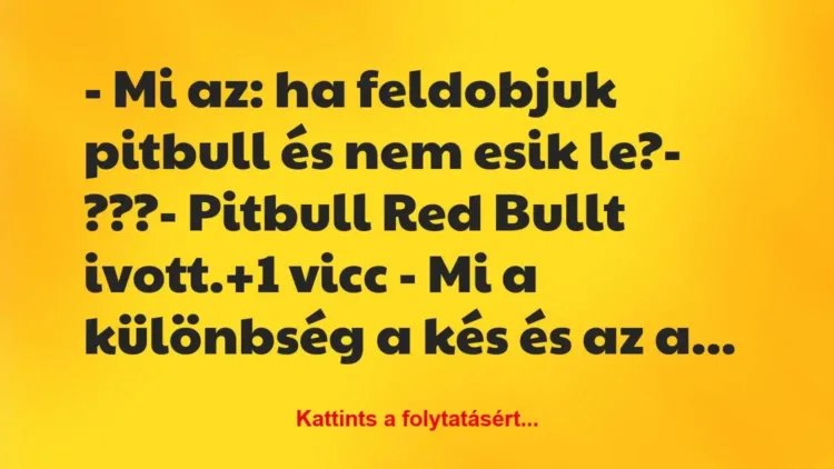 Vicc: – Mi az: ha feldobjuk pitbull és nem esik le?
– ???
-… Vicc: – Mi az: ha feldobjuk pitbull és nem esik le?
– ???
-…