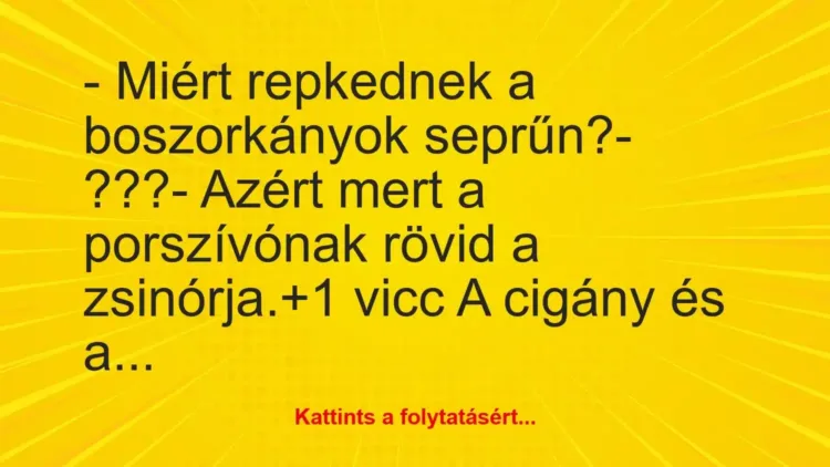 Vicc: – Miért repkednek a boszorkányok seprűn?
– ???
– Azért mert… Vicc: – Miért repkednek a boszorkányok seprűn?
– ???
– Azért mert…