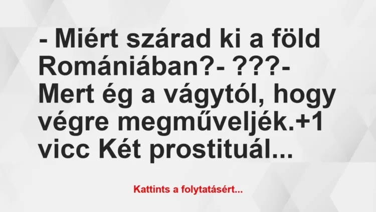 Vicc: – Miért szárad ki a föld Romániában?
– ???
– Mert ég a… Vicc: – Miért szárad ki a föld Romániában?
– ???
– Mert ég a…