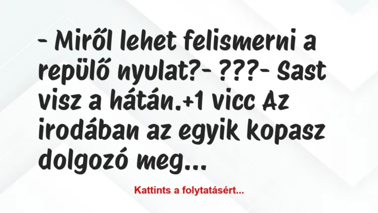 Vicc: – Miről lehet felismerni a repülő nyulat?
– ???
– Sast visz… Vicc: – Miről lehet felismerni a repülő nyulat?
– ???
– Sast visz…