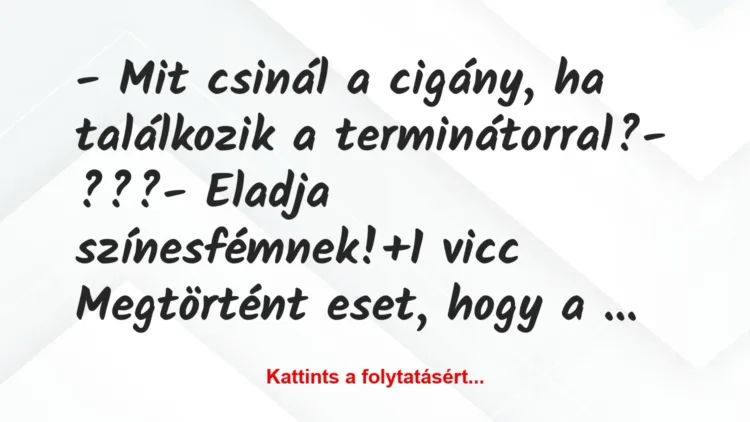 Vicc: – Mit csinál a cigány, ha találkozik a terminátorral?
-… Vicc: – Mit csinál a cigány, ha találkozik a terminátorral?
-…