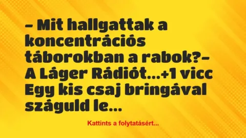 Vicc: – Mit hallgattak a koncentrációs táborokban a rabok?

– A Láger…