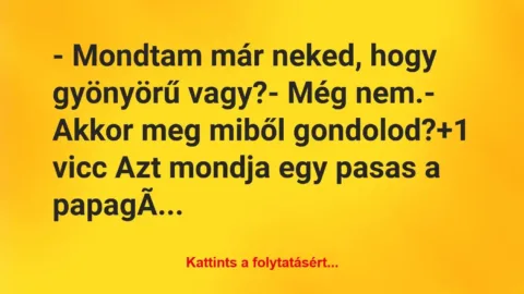 Vicc: – Mondtam már neked, hogy gyönyörű vagy?

– Még nem.

– Akkor…