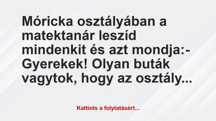 Vicc: Móricka osztályában a matektanár leszíd mindenkit és azt… Vicc: Móricka osztályában a matektanár leszíd mindenkit és azt…