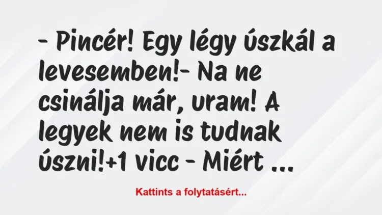 Vicc: – Pincér! Egy légy úszkál a levesemben!
– Na ne csinálja már,… Vicc: – Pincér! Egy légy úszkál a levesemben!
– Na ne csinálja már,…