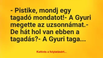 Vicc: – Pistike, mondj egy tagadó mondatot!

– A Gyuri megette az…