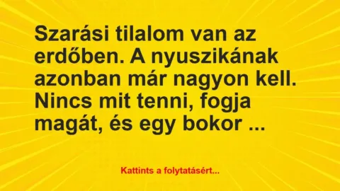 Vicc: Szarási tilalom van az erdőben. A nyuszikának azonban már nagyon kell….