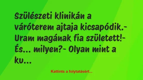 Vicc: Szülészeti klinikán a váróterem ajtaja kicsapódik.

– Uram magának…